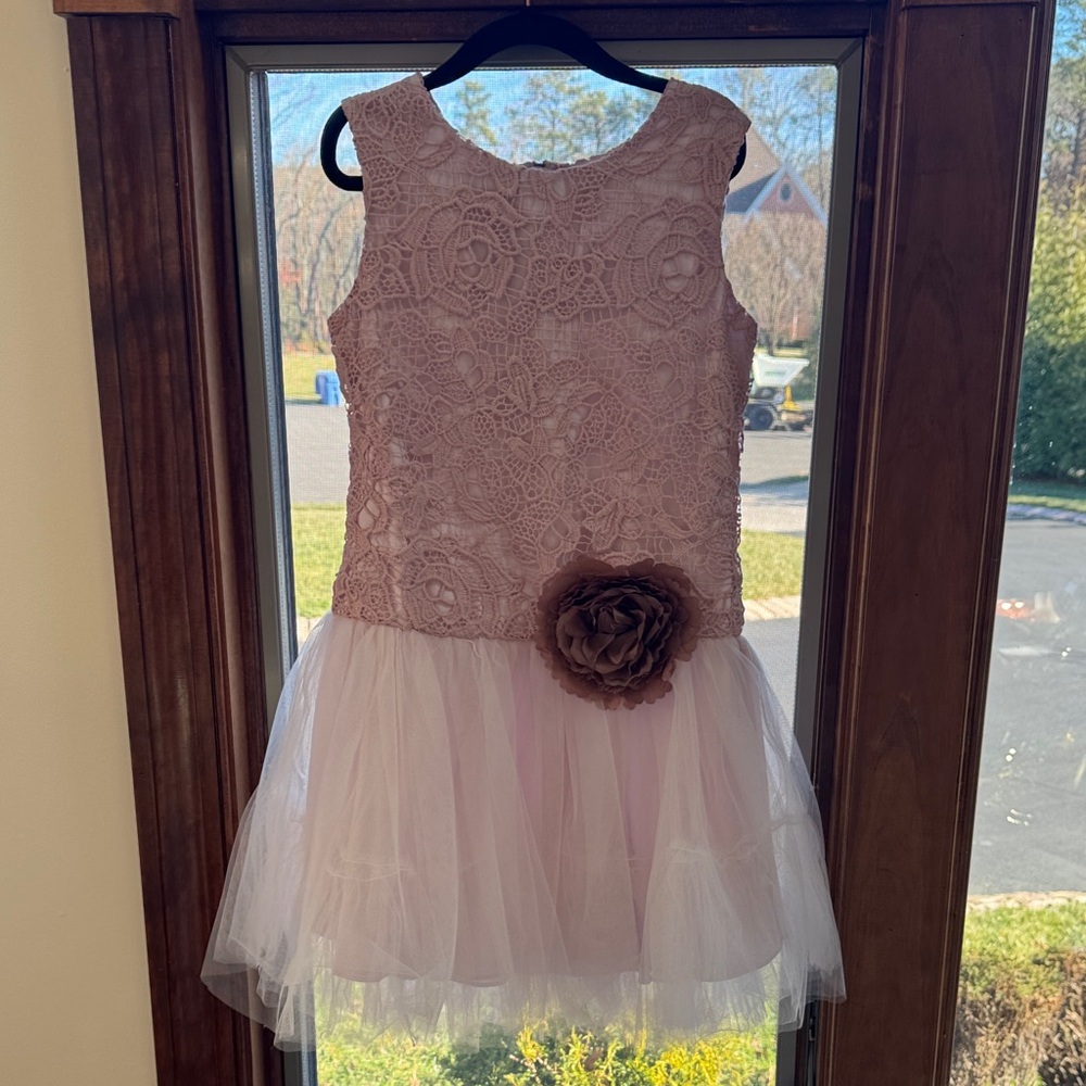 Pippa & Julie Blush Lace Floral Dress